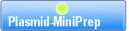 Plasmid-MiniPrep