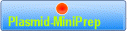Plasmid-MiniPrep